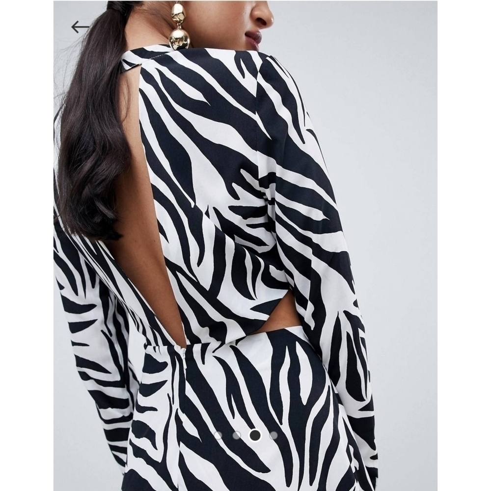 Zebra Patterns Flared Long Sleeves High-Neck Dress - Picture 4 of 15